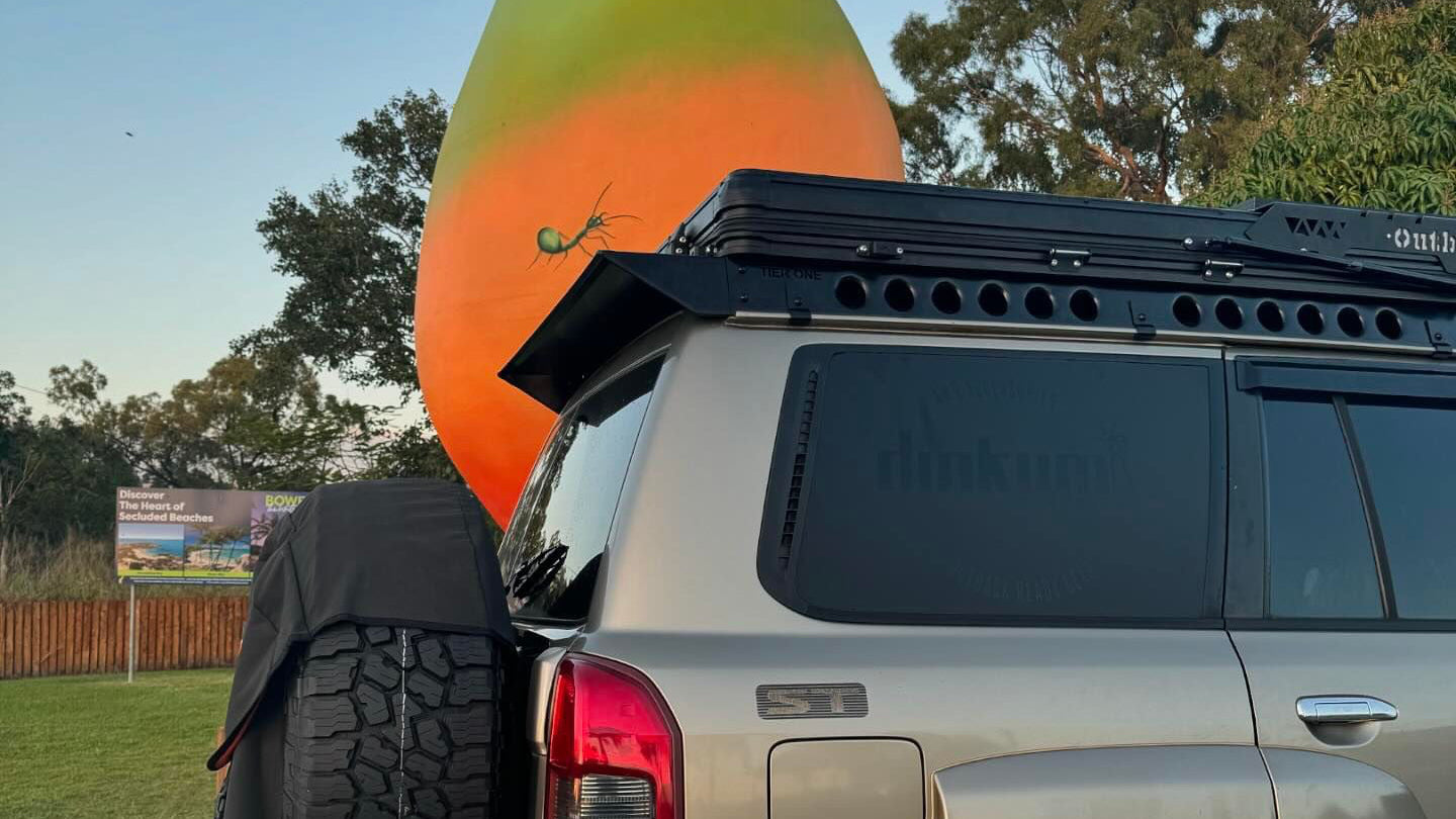 This is an image of a rear side of a gold Nissan Patrol ST with Tier One Metalworks black roof racks and rails in an outdoor park setting